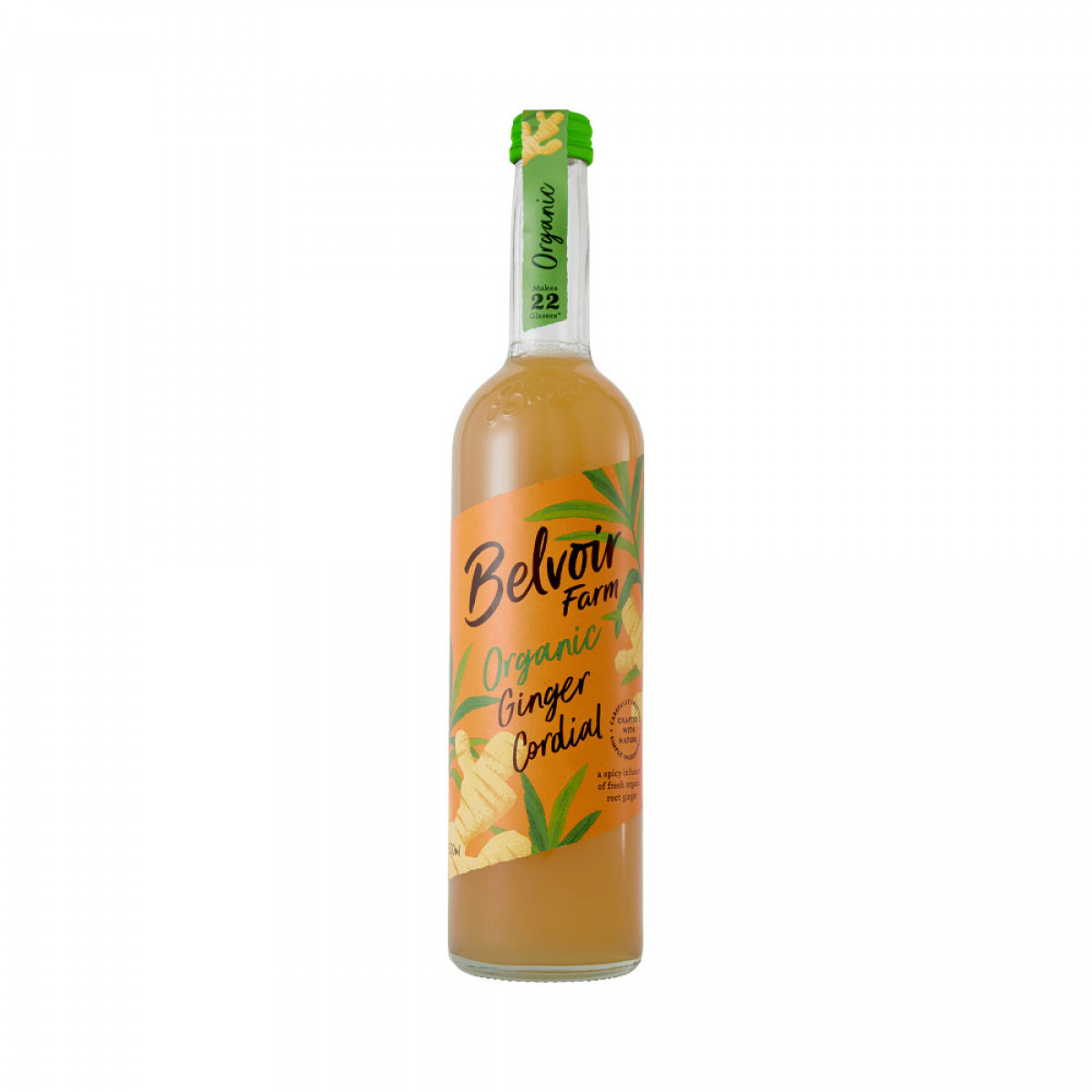 Product picture for Ginger Cordial