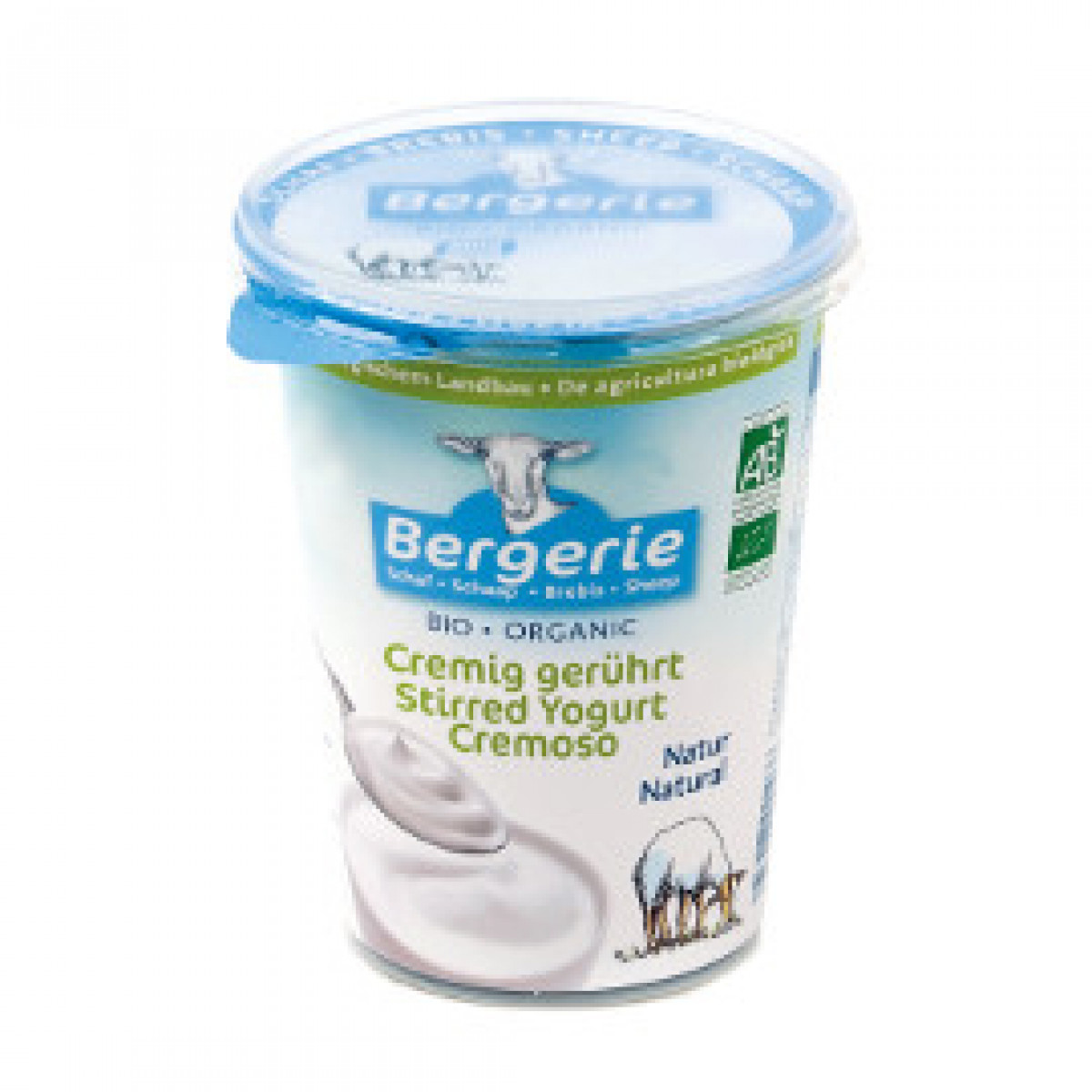 Product picture for Sheep's Yogurt - Natural Stirred
