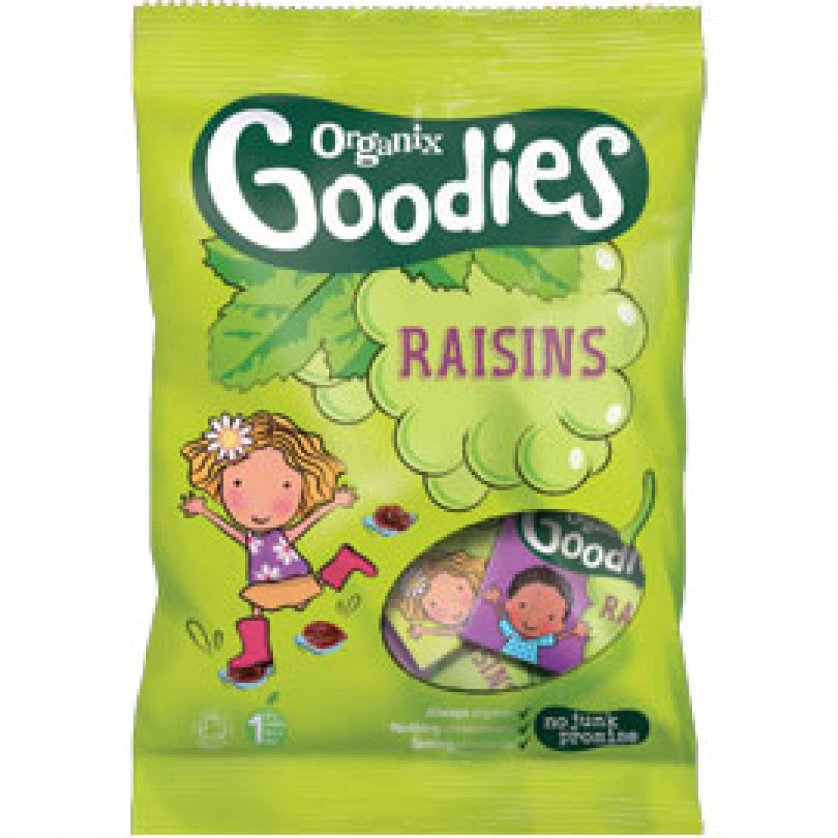 Product picture for Raisins - 12 mini size boxes