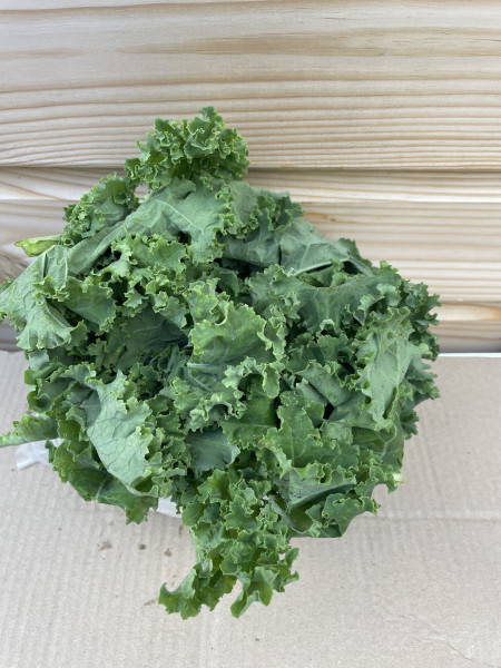 Thumbnail image for Kale, Curly Green