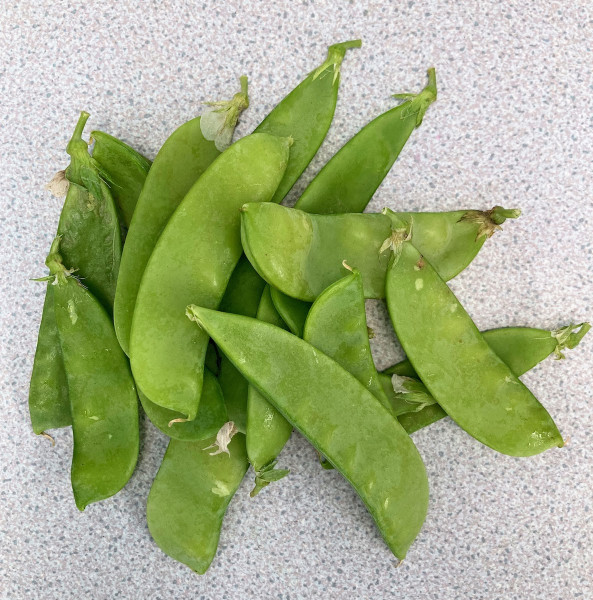 Thumbnail image for Mangetout