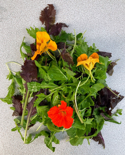 Thumbnail image for Mixed salad bag with edible flowers - small bag