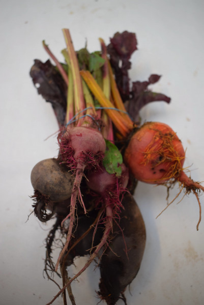 Thumbnail image for Beetroot, bunched, mixed varieties