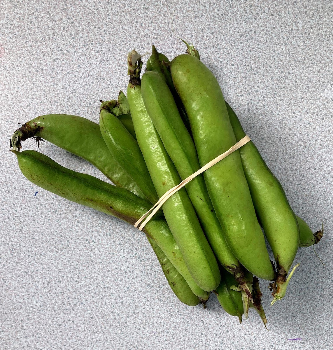 Product picture for Broad Beans