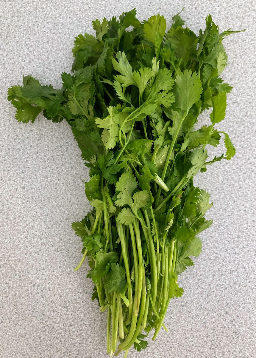 Product picture for Coriander