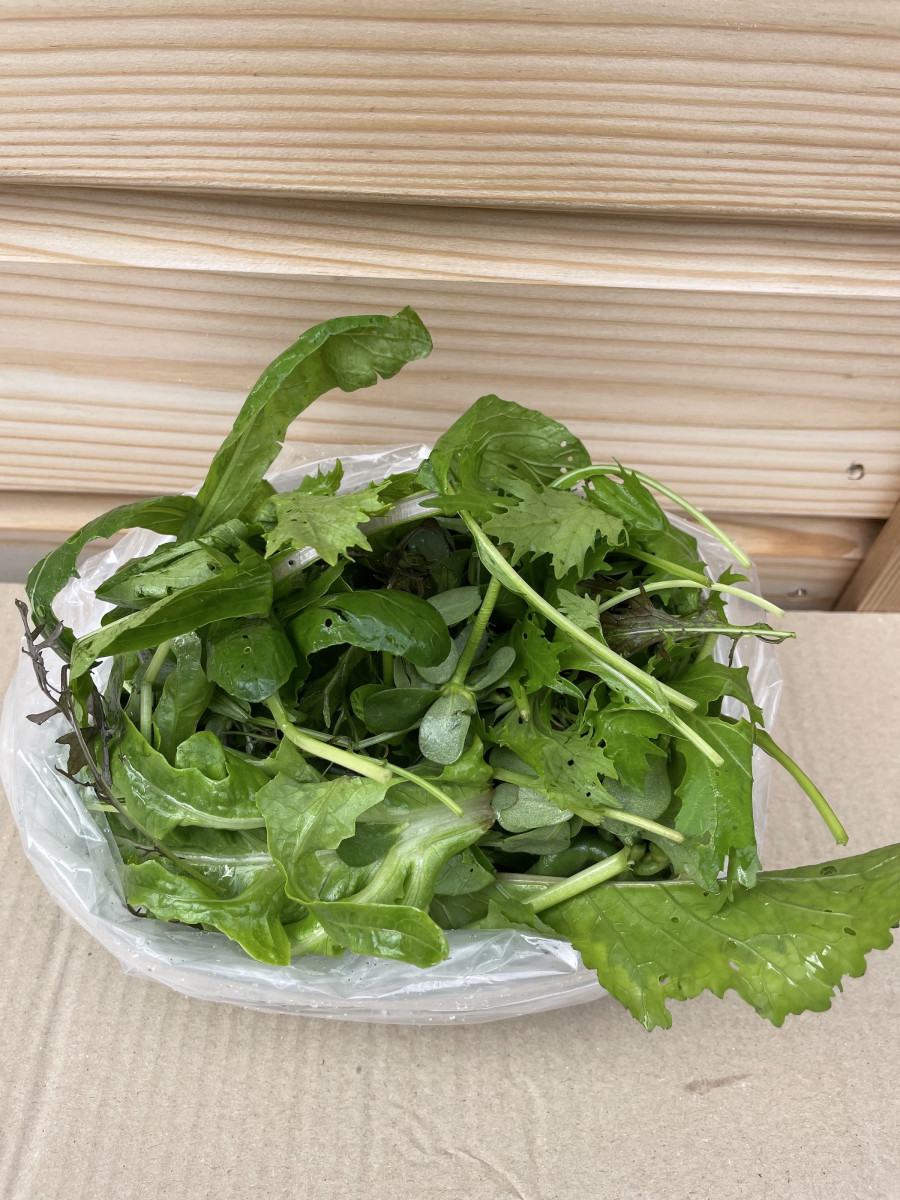 Product picture for Mixed salad leaves - large