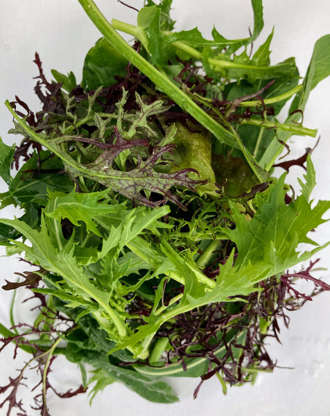 Thumbnail image for Mixed salad leaves - large