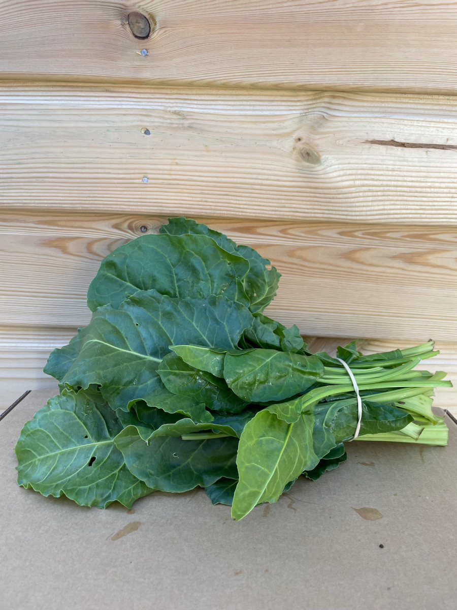 Product picture for Spinach, Perpetual