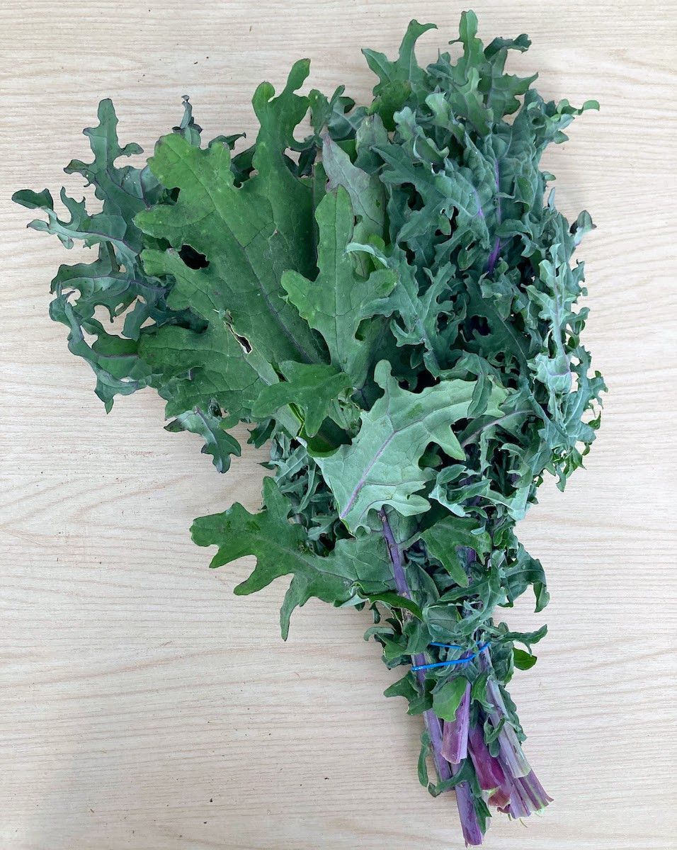 Product picture for Kale, Russian