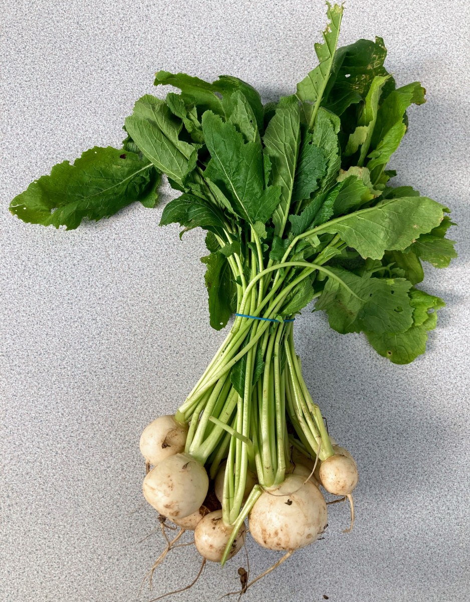 Product picture for Salad Turnips