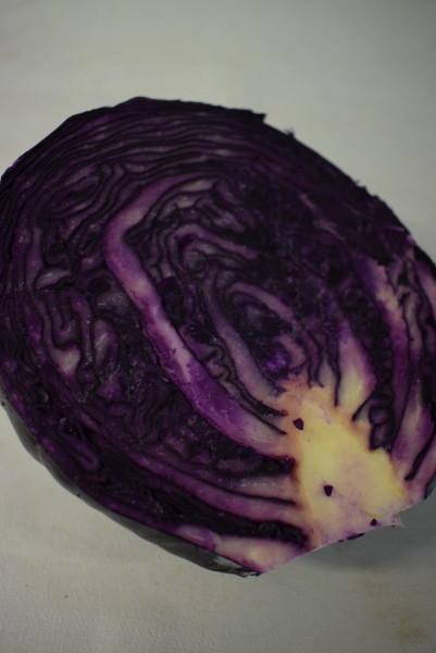 Thumbnail image for Cabbage, red - large