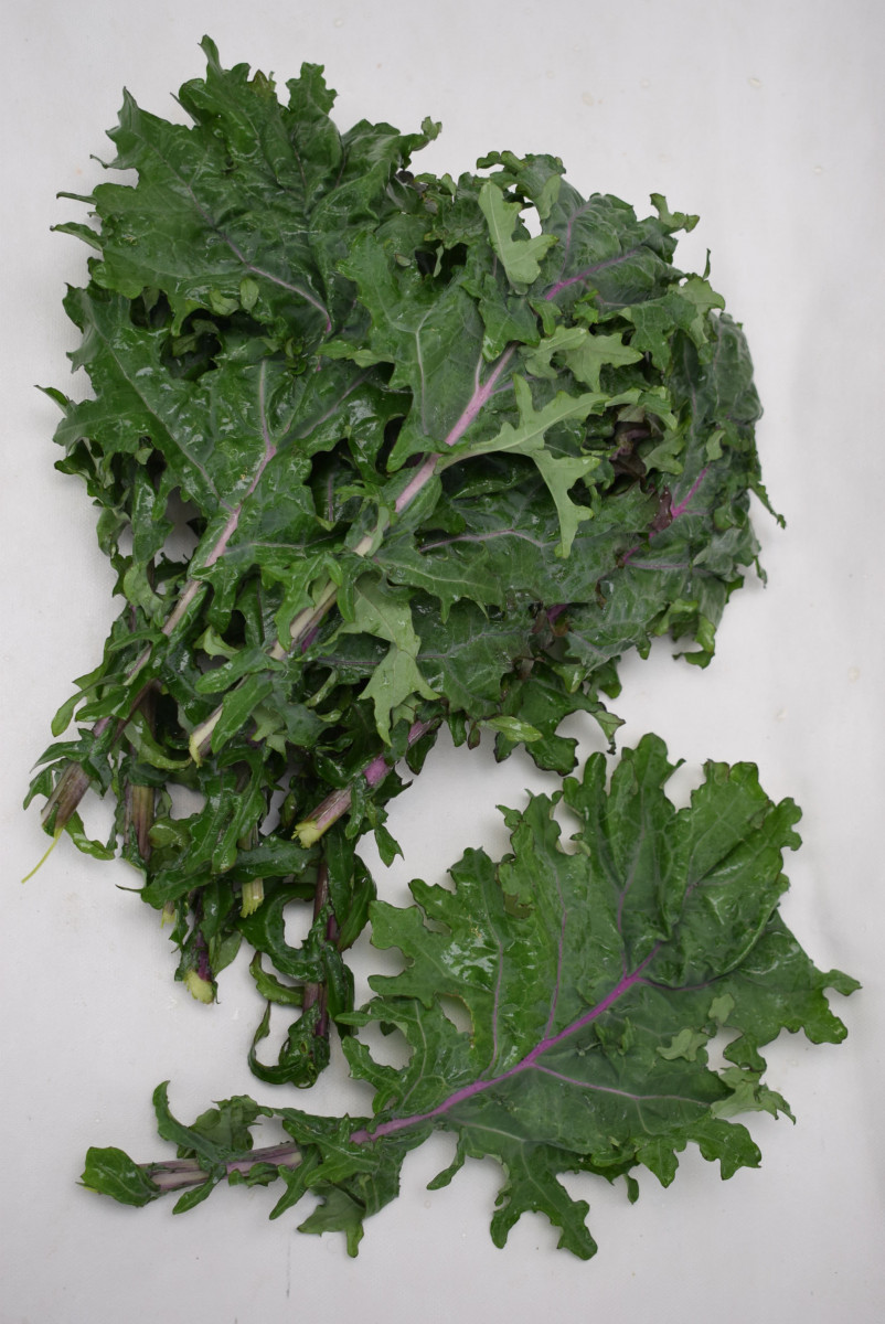 Product picture for Kale, Red Russian