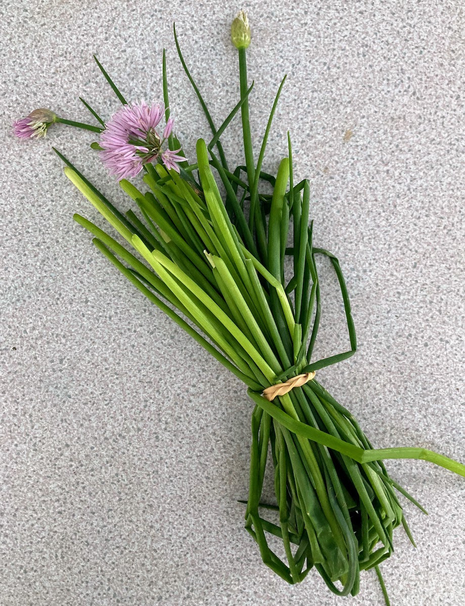 Product picture for Chives, large