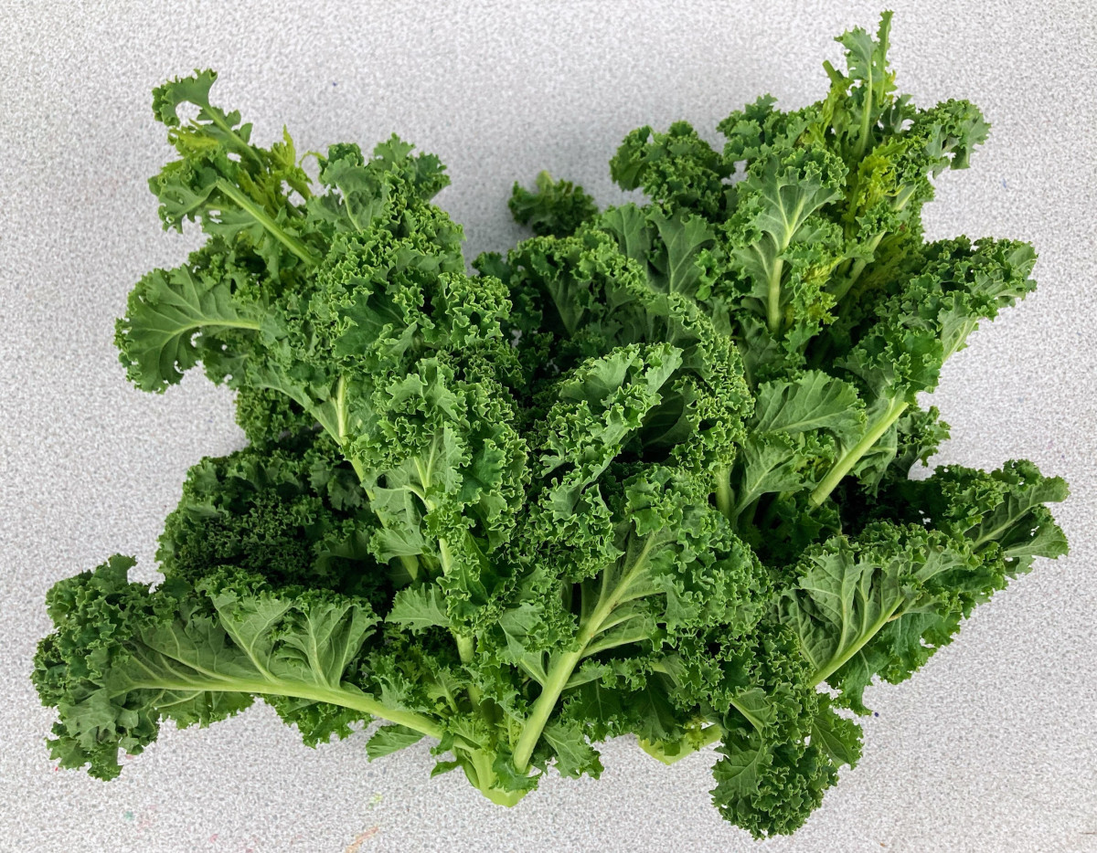Product picture for Kale, Green Curly
