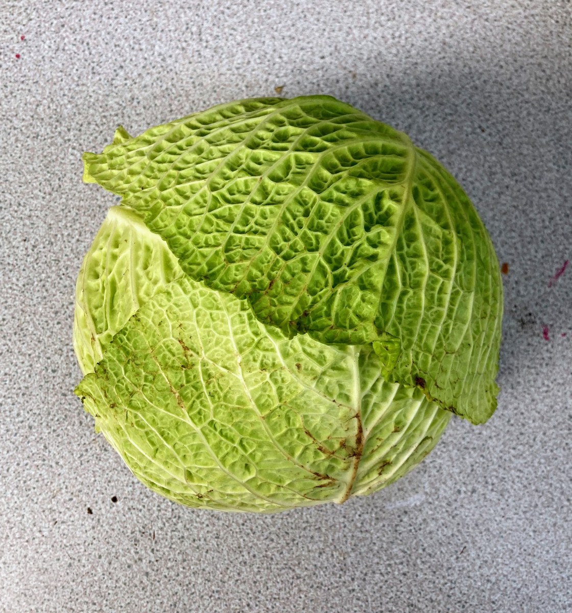 Product picture for Cabbage, Savoy