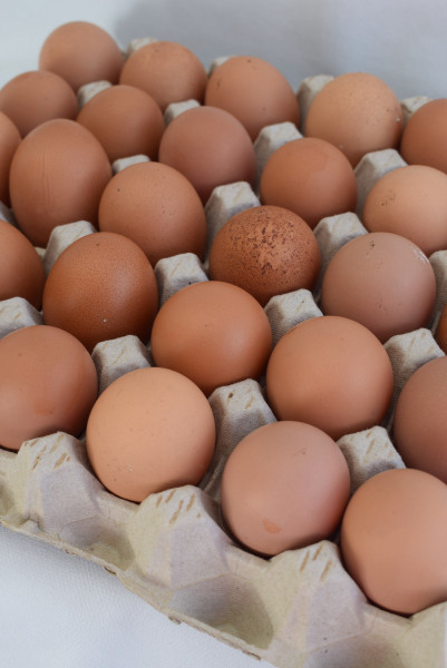 Thumbnail image for Eggs - 30 egg tray