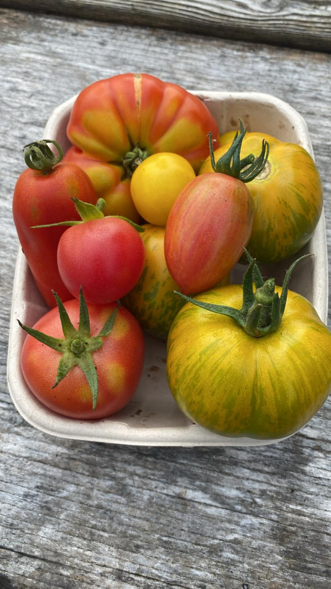 Product picture for Tomatoes
