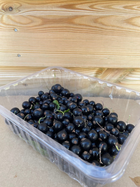 Thumbnail image for Blackcurrants