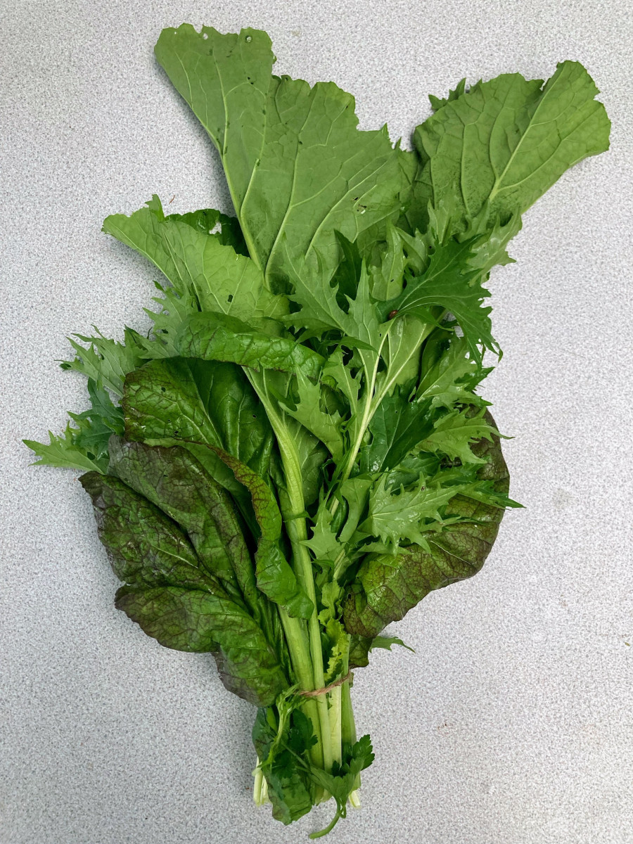 Product picture for Borage plant