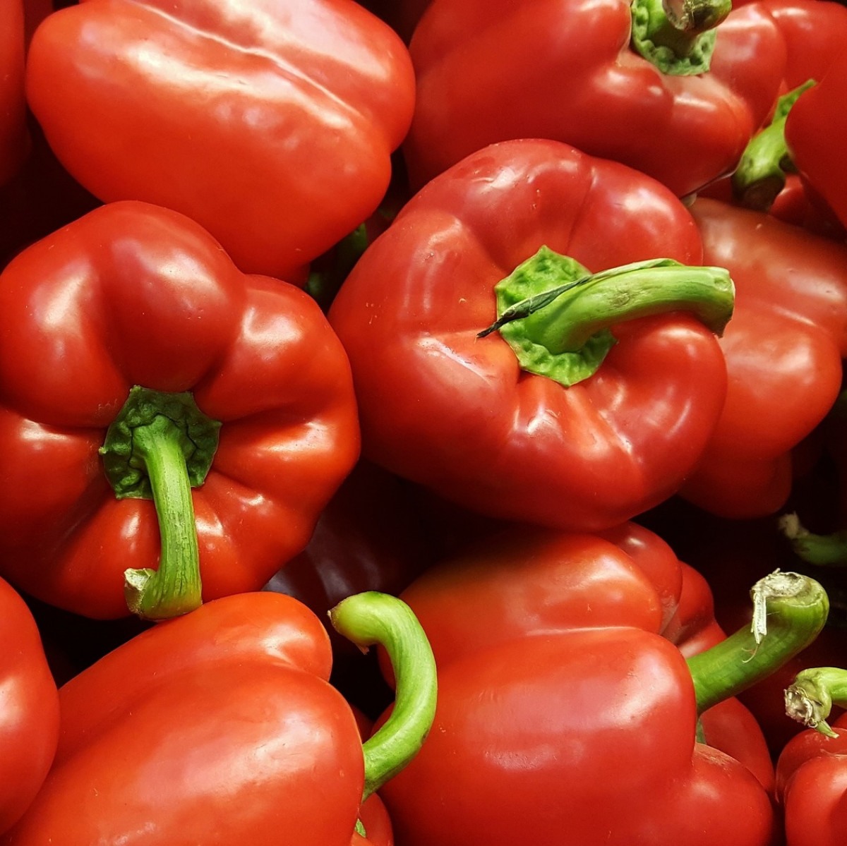 Product picture for Peppers, Red