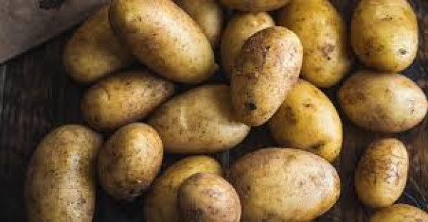 Thumbnail image for New Potatoes