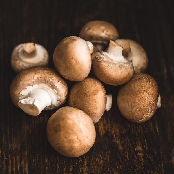 Thumbnail image for Mushrooms, Chestnut