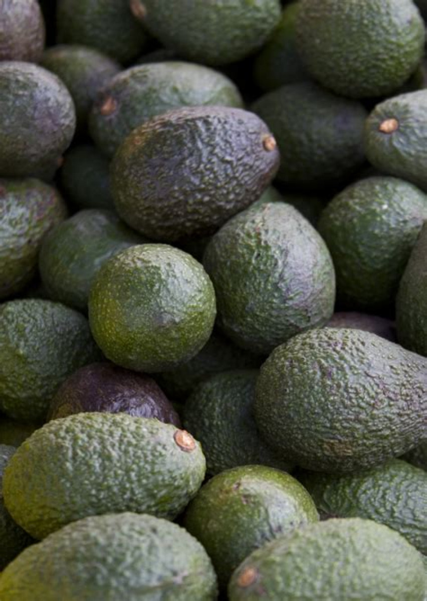Product picture for Avocado