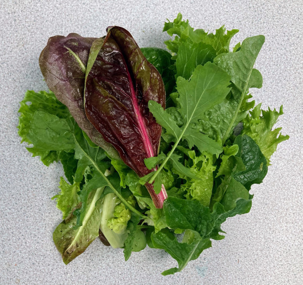 Thumbnail image for Mixed salad bag, with chicory leaves, small