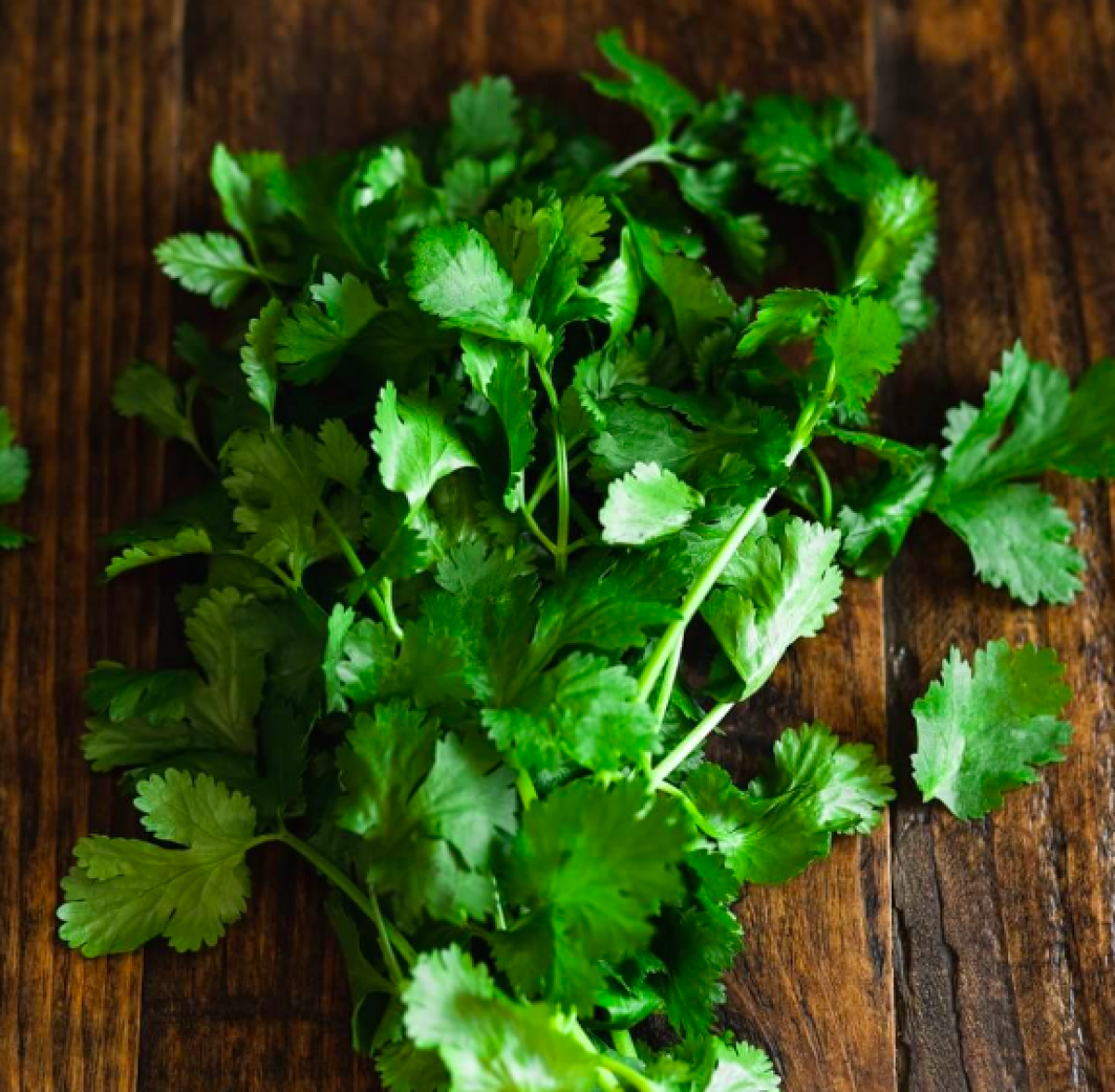 Product picture for Coriander