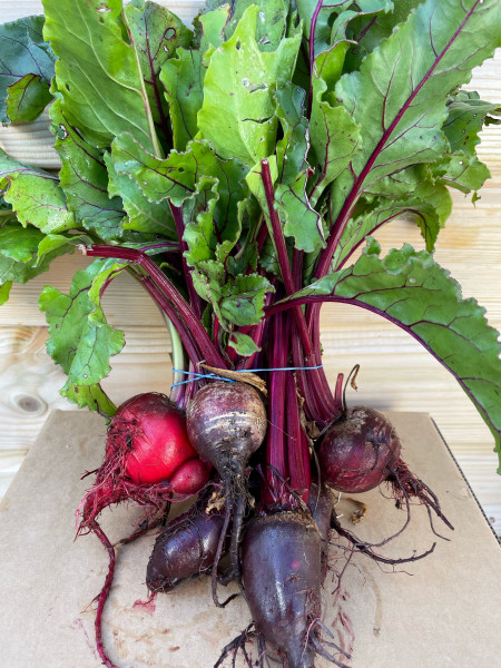 Thumbnail image for Beetroot, bunched