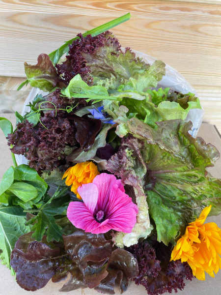 Thumbnail image for Mixed Salad (With edible flowers), medium bag