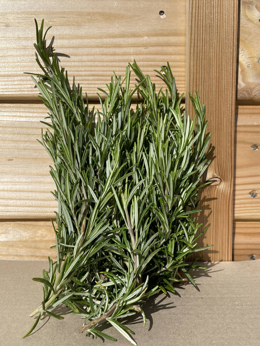 Product picture for Rosemary