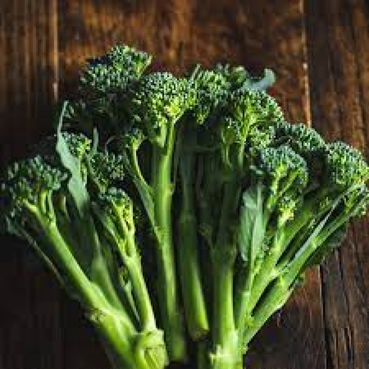 Product picture for Tenderstem broccoli
