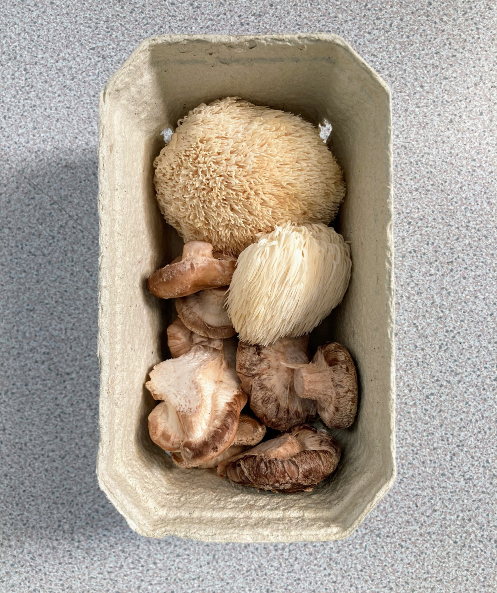Product picture for Mix of fresh gourmet mushrooms