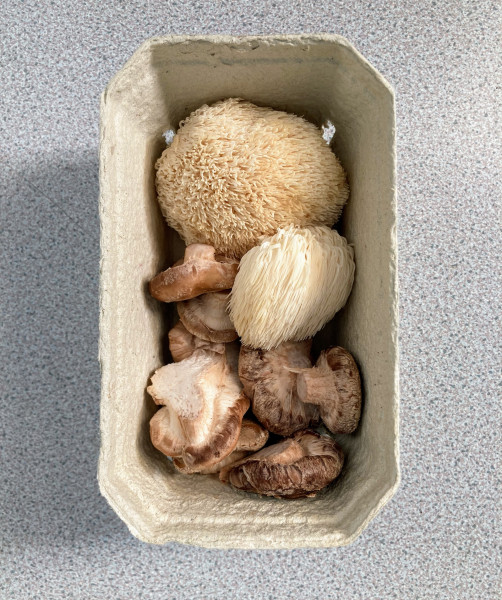 Thumbnail image for Mix of fresh gourmet mushrooms