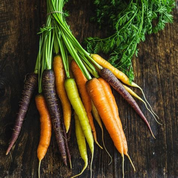 Thumbnail image for Carrots, Rainbow, bunched