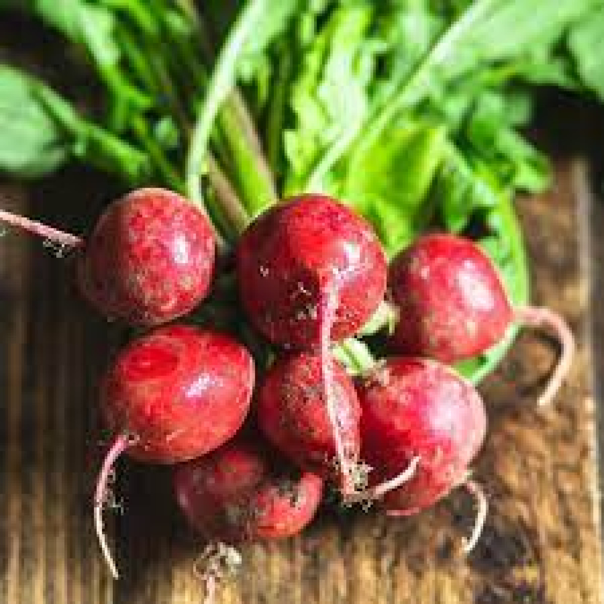 Product picture for Radish, bunched