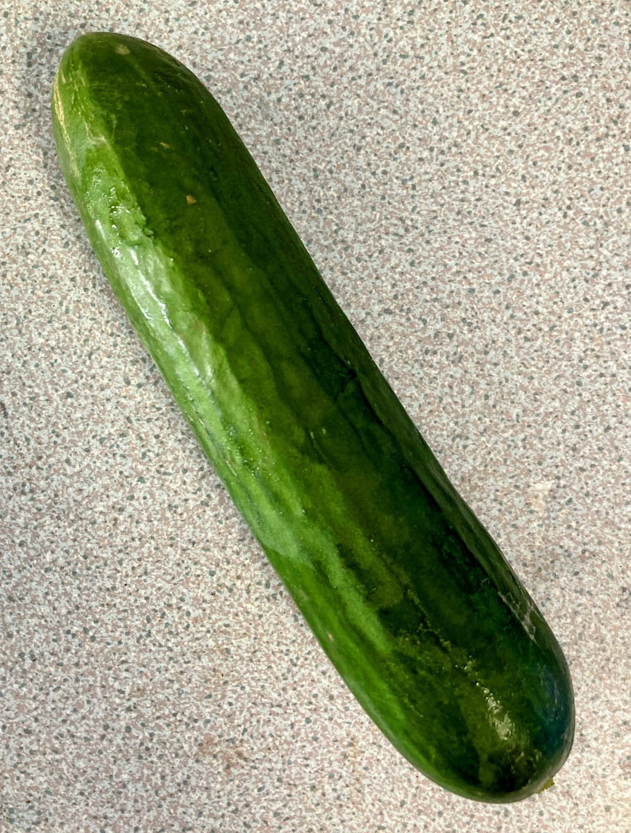 Product picture for Cucumber