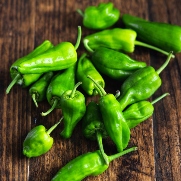 Thumbnail image for Peppers, Padron
