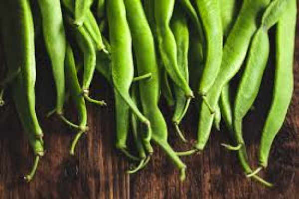 Thumbnail image for Beans, Runner