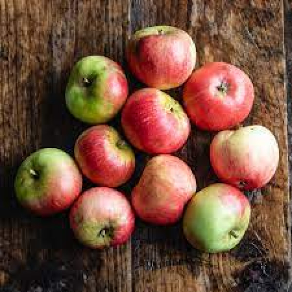 Thumbnail image for Apples, Discovery
