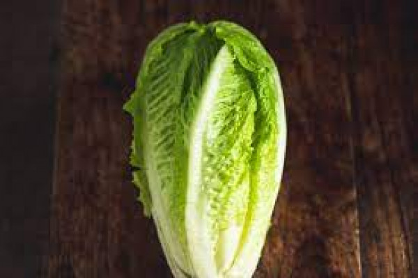 Thumbnail image for Lettuce, Cos