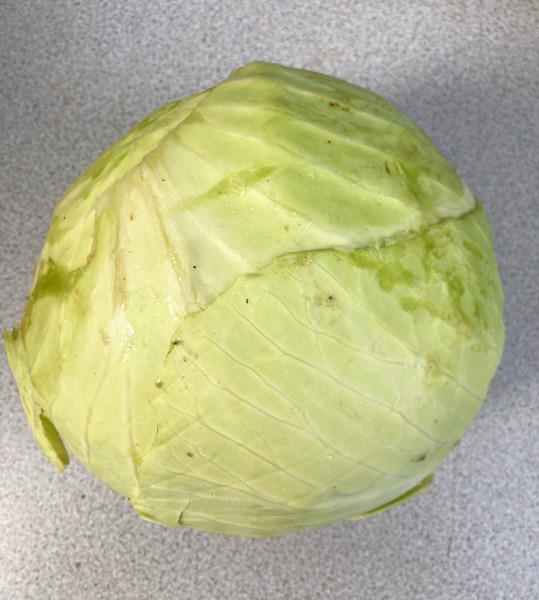 Thumbnail image for Cabbage, Dutch white