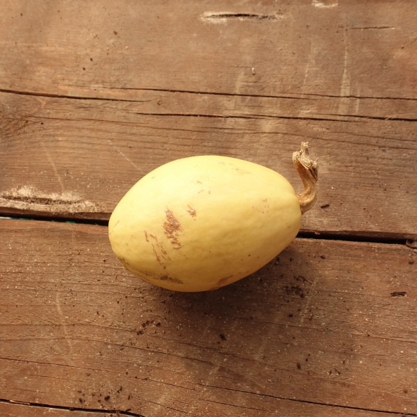 Thumbnail image for Squash, Winter - Spaghetti