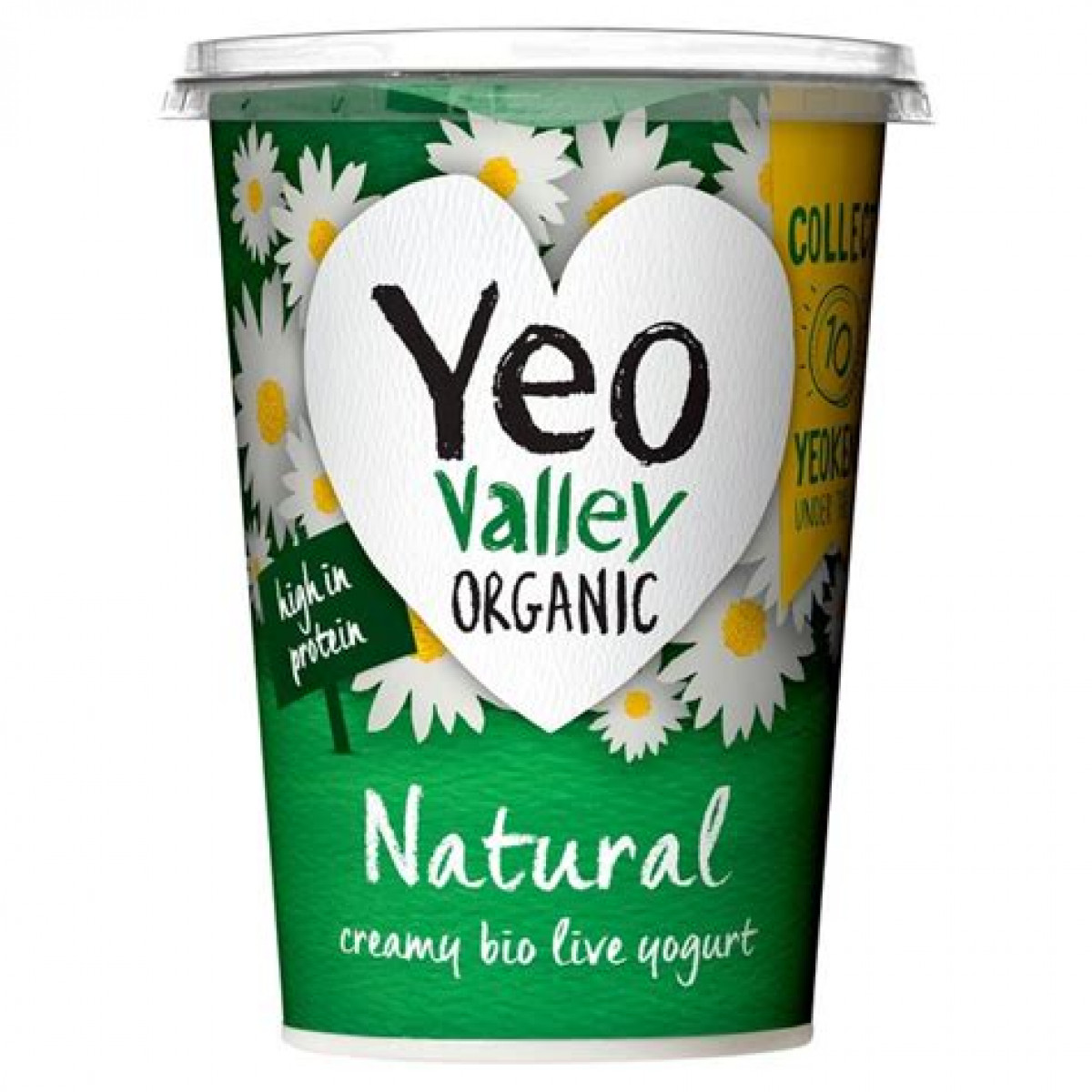 Product picture for Yogurt Natural
