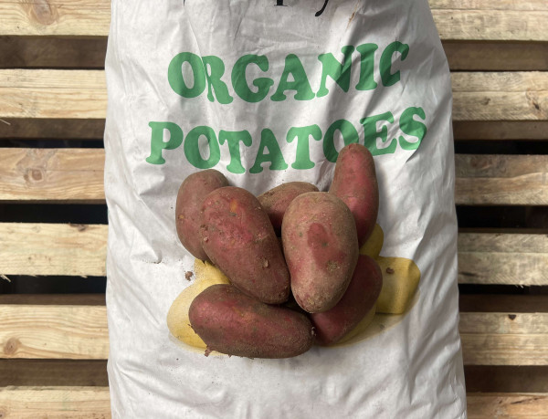 Thumbnail image for Potatoes, red, cara