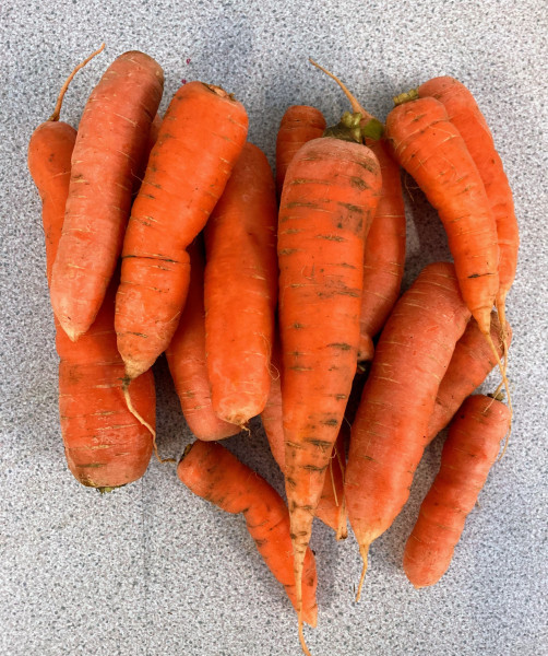 Thumbnail image for Carrots, loose