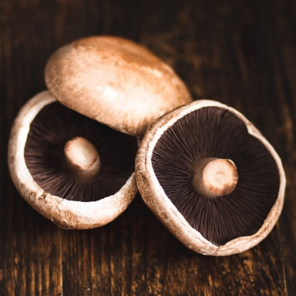 Thumbnail image for Mushroom Portobello