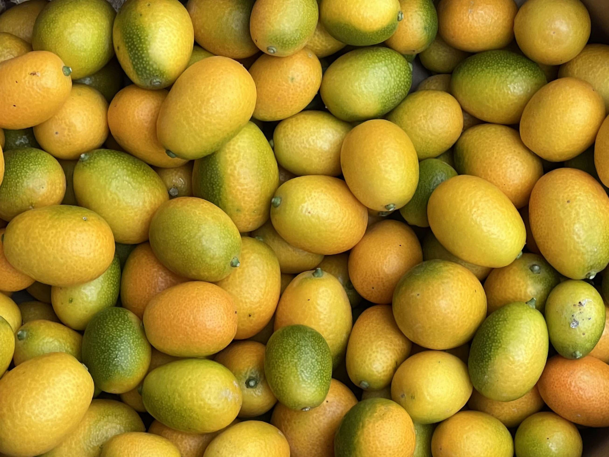 Product picture for Kumquats