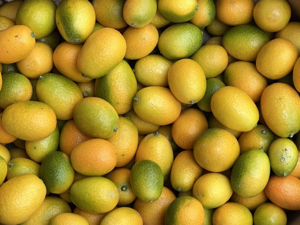 Thumbnail image for Kumquats